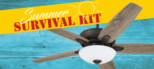 Summer Survival ceiling fan sale