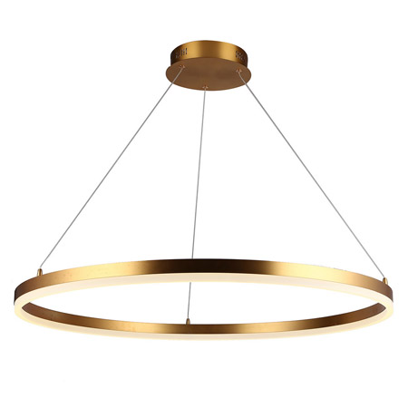Circa Collection LED Pendant in Gold with Slim Circular Frame Avenue Lighting HF5028-GL